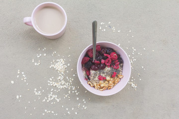 Oatmeal porridge in bowl topped with fresh berry