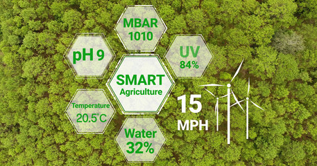 Smart digital agriculture technology by futuristic sensor data collection management by artificial intelligence to control quality of crop growth and harvest. Computer aided plantation grow concept.