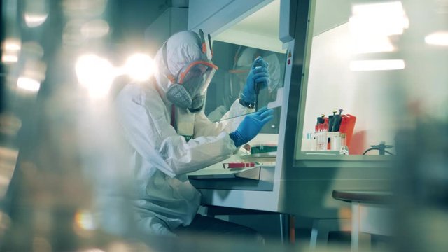 Professional virologist works with antibodies in laboratory.