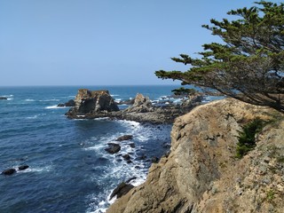 Fototapeta na wymiar california coast