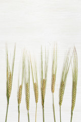 Spike of rye close up. Cereal crop. Rustic style. Rich harvest creative concept. Top view and copy...