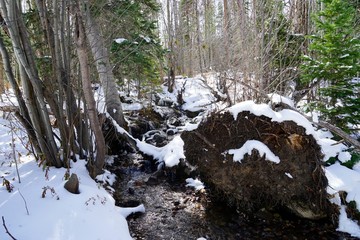 Nature Hike, Frisco, CO