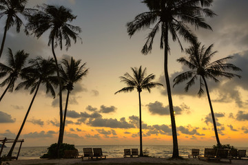 Silhouette landscape of the evening scenery of coconut trees by the beach, Ko Kood, Thailand in a romantic and healthy atmosphere, golden and orange.