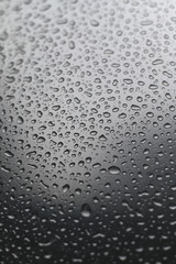 Water droplets on a cold smooth stainless steel surface