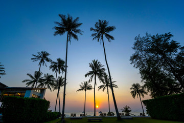 Obraz premium The black silhouette of the coconut trees by the beach with the evening sky, the sunset with the blue sky. The atmosphere is relaxing and romantic.