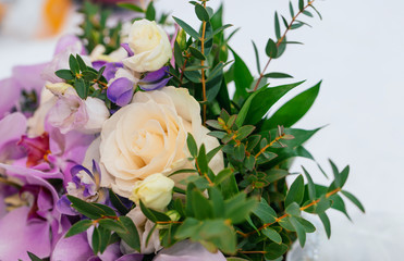 White rose and irises on white background.