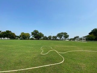 Fototapeta premium football field with lines