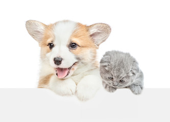 Obraz premium Corgi puppy and baby kitten looks above empty white banner. isolated on white background
