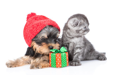 Yorkshire terrier puppy wearing red warm hat and kitten sit together with gift box. isolated on white background