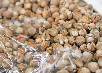 Fresh Cockle shells in the seafood market