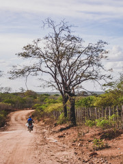 Imagem de uma região rural no sertão do cariri. Conta com a caatinga como bioma, exclusivamente...