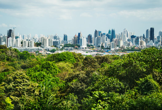 Fototapeta View of Panama City from Metropolitan Natural Park, Panama City, Panama, Central America 