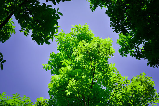 Beautiful Blue Sky
