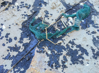 Effect of oil spill on the sand beach