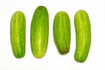 Fresh green cucumber on white background.