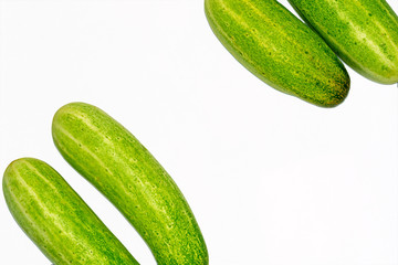 Fresh green cucumber on white background.