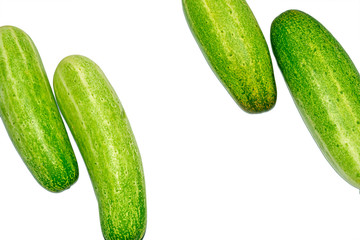 Fresh green cucumber on white background.