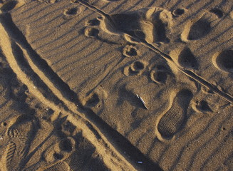 砂浜・抽象的な模様