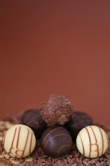 Chocolate candies set.White and black chocolate truffles in grated chocolate on a combined bright...