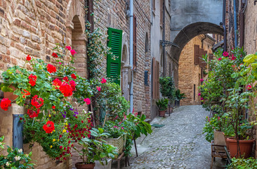 Obraz na płótnie Canvas Acquaviva Picena a small village in Ascoli Piceno province, region Marche in Italy. characteristic narrow street of the medieval village