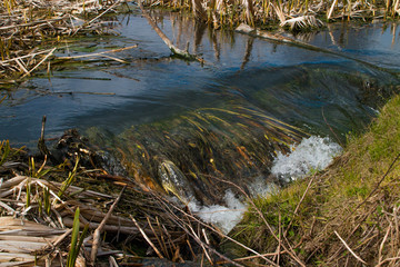 Source of the Pyshma river in the Middle Urals