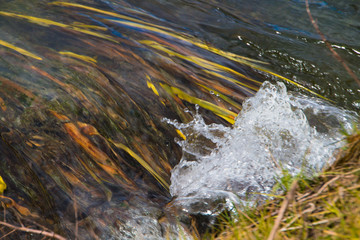 Source of the Pyshma river in the Middle Urals