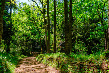 Obraz premium 【東京都 町田】都内にある田舎の風景