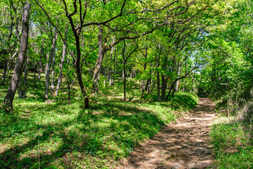 【東京都 町田】都内にある田舎の風景