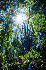 Obraz premium 【東京都 町田】都内にある田舎の風景