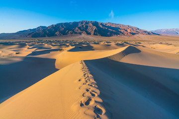 beautiful landscape  of  Mesquite Flat Sand Dunes. Death Valley National Park, California, USA.