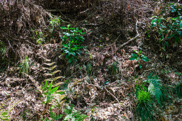 【東京都 町田】都内にある田舎の風景