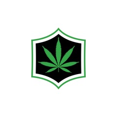Shield and marijuana or cannabis leaf icon isolated on white background
