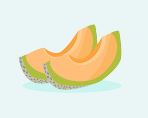 Fresh fruit: Two pieces of Cantaloupe. Cartoon vector style for your design 