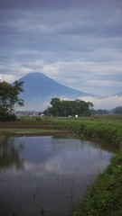 rice fields that are flowing water at the foot of Mt. Sumbing in Central Java, Indonesia