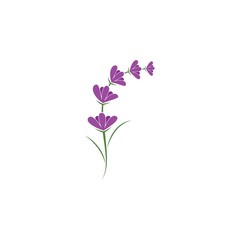Fototapeta na wymiar Lavender logo