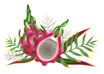 Composition of pitahaya fruits and tropical twigs. Manual digital the drawing