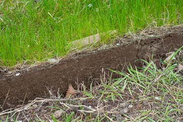 Restoration of the lawn and soil. Photos before and after improving grass lawn.