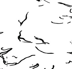 Beautiful abstract vector background from irregular cross lines with black and white base colors