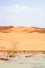 adventure, africa, background, beautiful, blue, chebbi, clear, color, day, desert, dry, dune, dunes, dust, egypt, erg, erg chebbi, extreme, gobi, horizon, landscape, merzouga, morocco, nature