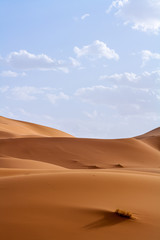 adventure, africa, background, beautiful, blue, chebbi, clear, color, day, desert, dry, dune, dunes, dust, egypt, erg, erg chebbi, extreme, gobi, horizon, landscape, merzouga, morocco, nature