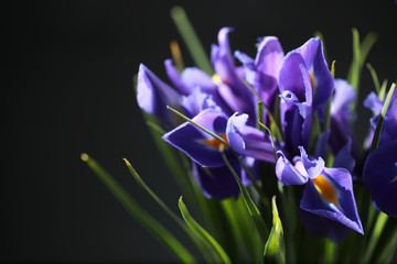 Bouquet of fresh flowers. Holiday gift to your loved one. Background St. Valentine's Day. Rose, tulip, iris flower arrangement.