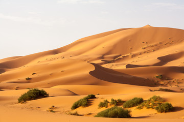 adventure, africa, background, beautiful, blue, chebbi, clear, color, day, desert, dry, dune, dunes, dust, egypt, erg, erg chebbi, extreme, gobi, horizon, landscape, merzouga, morocco, nature