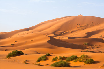 adventure, africa, background, beautiful, blue, chebbi, clear, color, day, desert, dry, dune, dunes, dust, egypt, erg, erg chebbi, extreme, gobi, horizon, landscape, merzouga, morocco, nature