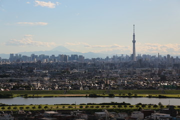 View of Sky Tree and Mt. Fuji 