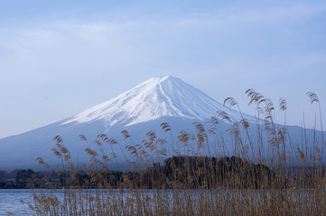 Mt.Fuji