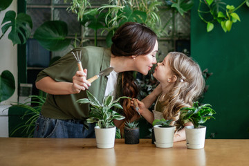 Mother and daughter plant green plants in the greenhouse. 