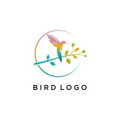 Hummingbird bird flower tropical