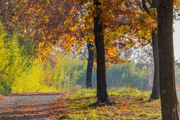 Prospettiva autunnale