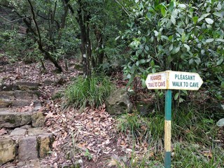A sign board  in the forest.