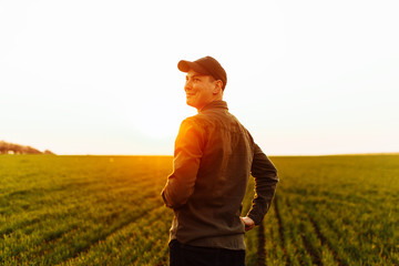 Young farmer stands in the green field checking and waiting for harvest to grow. Sunset view of a...